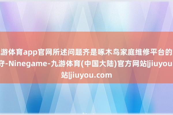 九游体育app官网所述问题齐是啄木鸟家庭维修平台的澈底职守-Ninegame-九游体育(中国大陆)官方网站|jiuyou.com